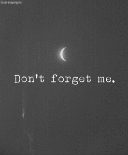 DON'T FORGET MEの画像