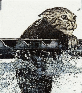 晴れた終わりの画像