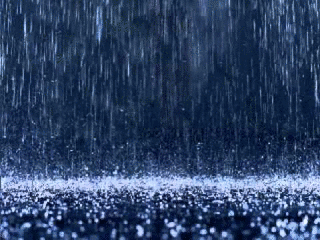 RAININGの画像