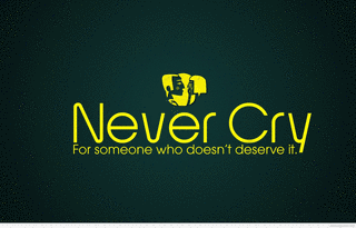 NEVER CRYの画像