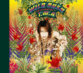 WILD RUSHの画像