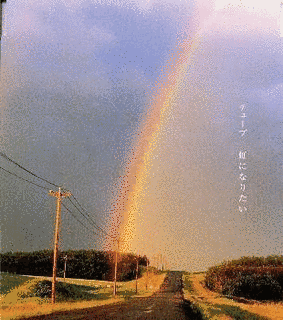 虹になりたいの画像