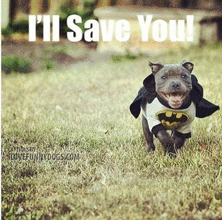 I'LL SAVE YOUの画像