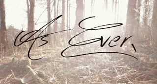 AS EVERの画像
