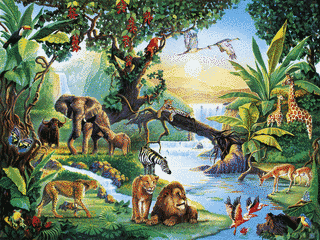 JUNGLE LIFEの画像
