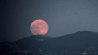 STRAWBERRY MOONの画像