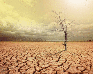 DRY?の画像