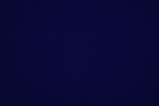 NAVY BLUEの画像