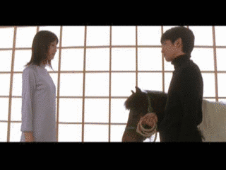遥かの画像