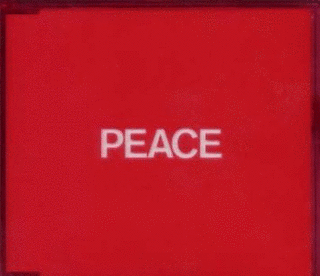PEACE -STRINGS VERSION-の画像