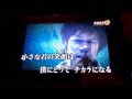 クローバーの画像