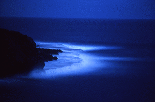 月光浴の画像
