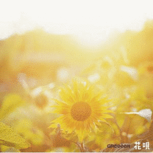 花唄の画像