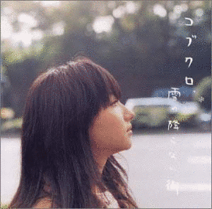 雪の降らない街の画像