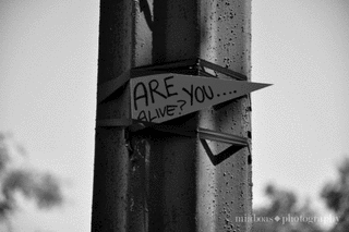 ARE YOU ALIVE?の画像