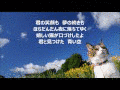 青空の画像