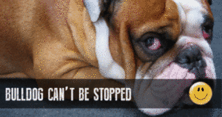 CAN'T BE STOPPEDの画像