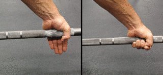 GRIP!の画像
