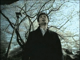 桜の画像