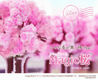 SAKURAマジック -しあわせになろう-の画像