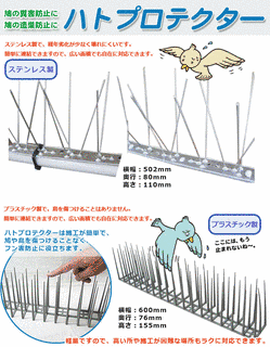 鳥よの画像
