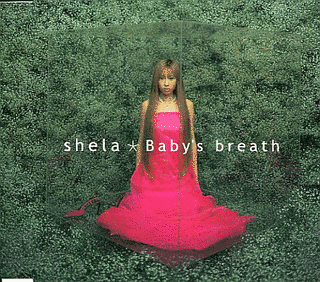 BABY'S BREATHの画像