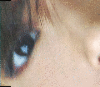 赤い花の画像