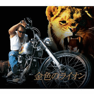 金色のライオンの画像