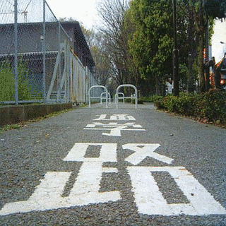 荒野はるかに/ズートロの画像