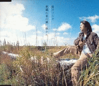 木漏れ日の風に吹かれの画像