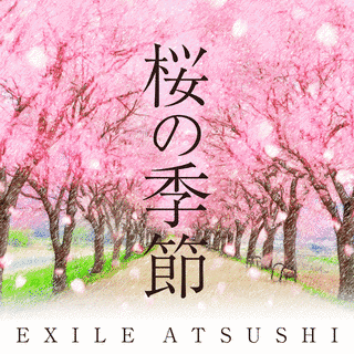 桜の季節の画像