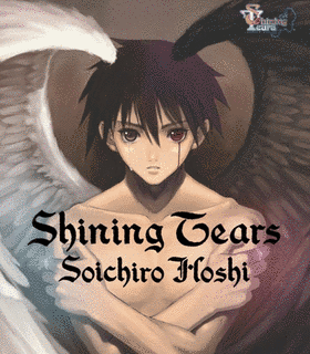 SHINING TEARS/光のシルエットの画像