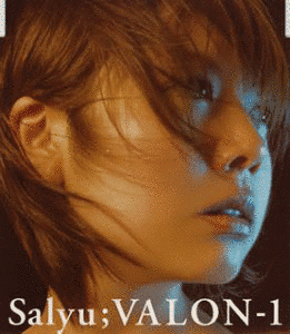 VALON-1の画像