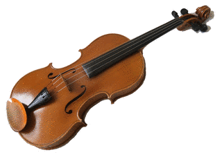 VIOLAの画像