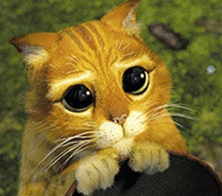 PLEASE, PLEASEの画像