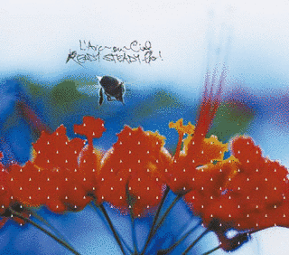 READY STEADY GOの画像