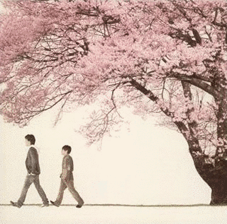 桜の画像