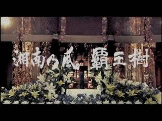 覇王樹の画像