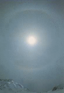 太陽のカサの画像