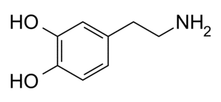 DOPAMINEの画像