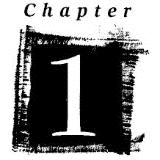 CHAPTER 1の画像