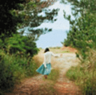 陽の照りながら雨の降るの画像