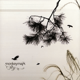 FLYの画像