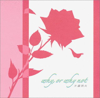 WHY, OR WHY NOTの画像