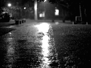 雨夜の月にの画像