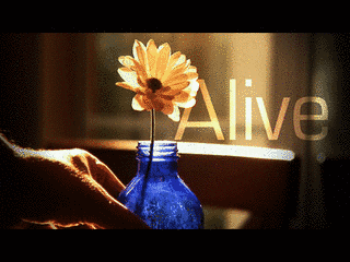 A-L-I-V-Eの画像
