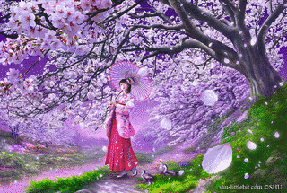 桜風の画像