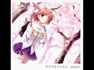 サクラキミニエムの画像