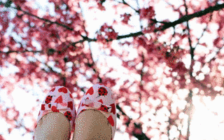 SPRING LOVEの画像