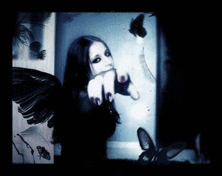 BLUE BUTTERFLYの画像